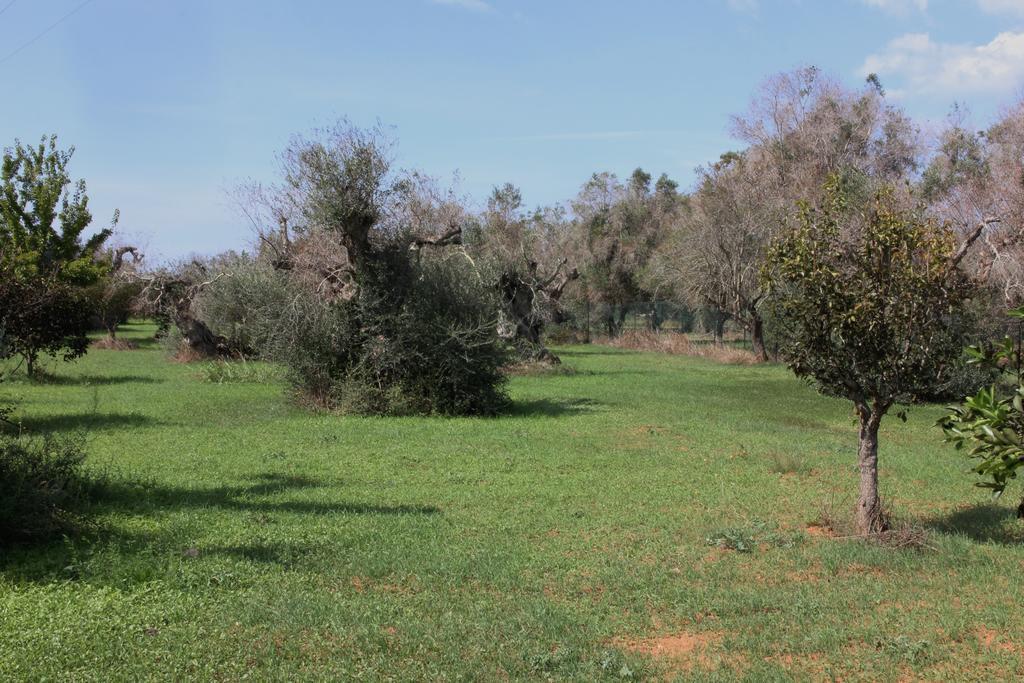 Villa Nanni Gallipoli Luaran gambar