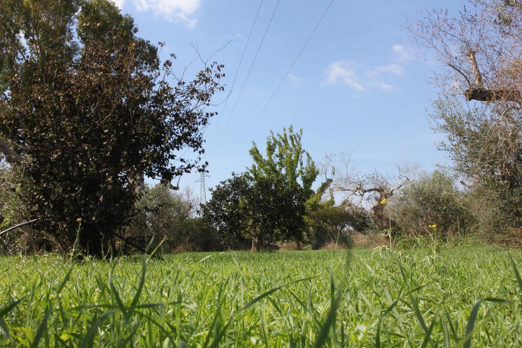 Villa Nanni Gallipoli Luaran gambar